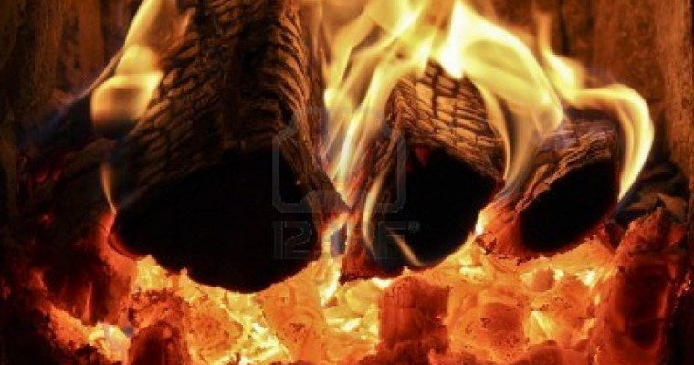 Combustion de bois bûche - étude sur les consommations de bois bûche en Ardèche en 2013