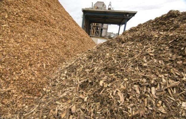 Des copeaux de bois entreposés au Centre de recherche technologique de Güssing, en Autriche, le 17 novembre 2015 ( AFP / JOE KLAMAR )