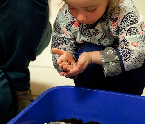 Atelier « éco-parentalité » : fabrication maison de produits ménagers