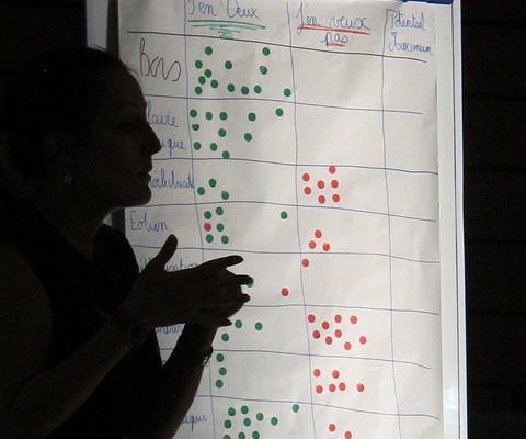 Évaluation participative du potentiel de développement des énergies renouvelables