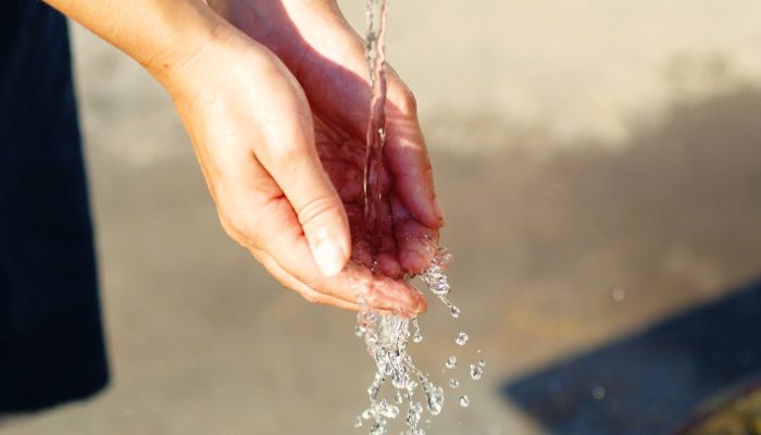 Festival de l’eau et de la biodiversité
