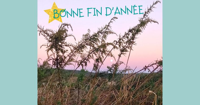 Fermeture fin d’année de l’ALEC07 et du service public Rénofuté