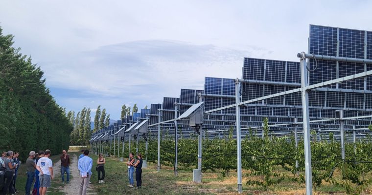 À Loriol-sur-Rhône, regards croisés sur l’agrivoltaïsme